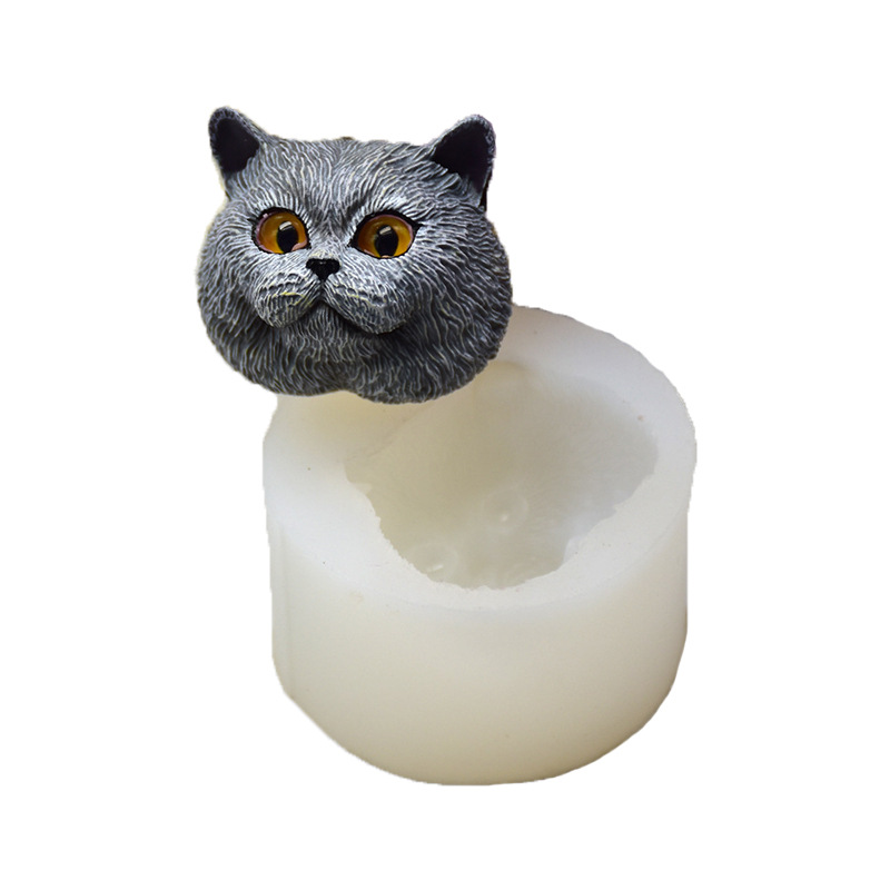 Soap Making Party - Molde de Silicone em Forma de