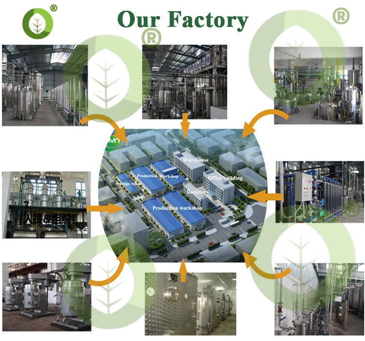 [Novidades] materiais para faz - Soap Making Raw Material avaliação e preço